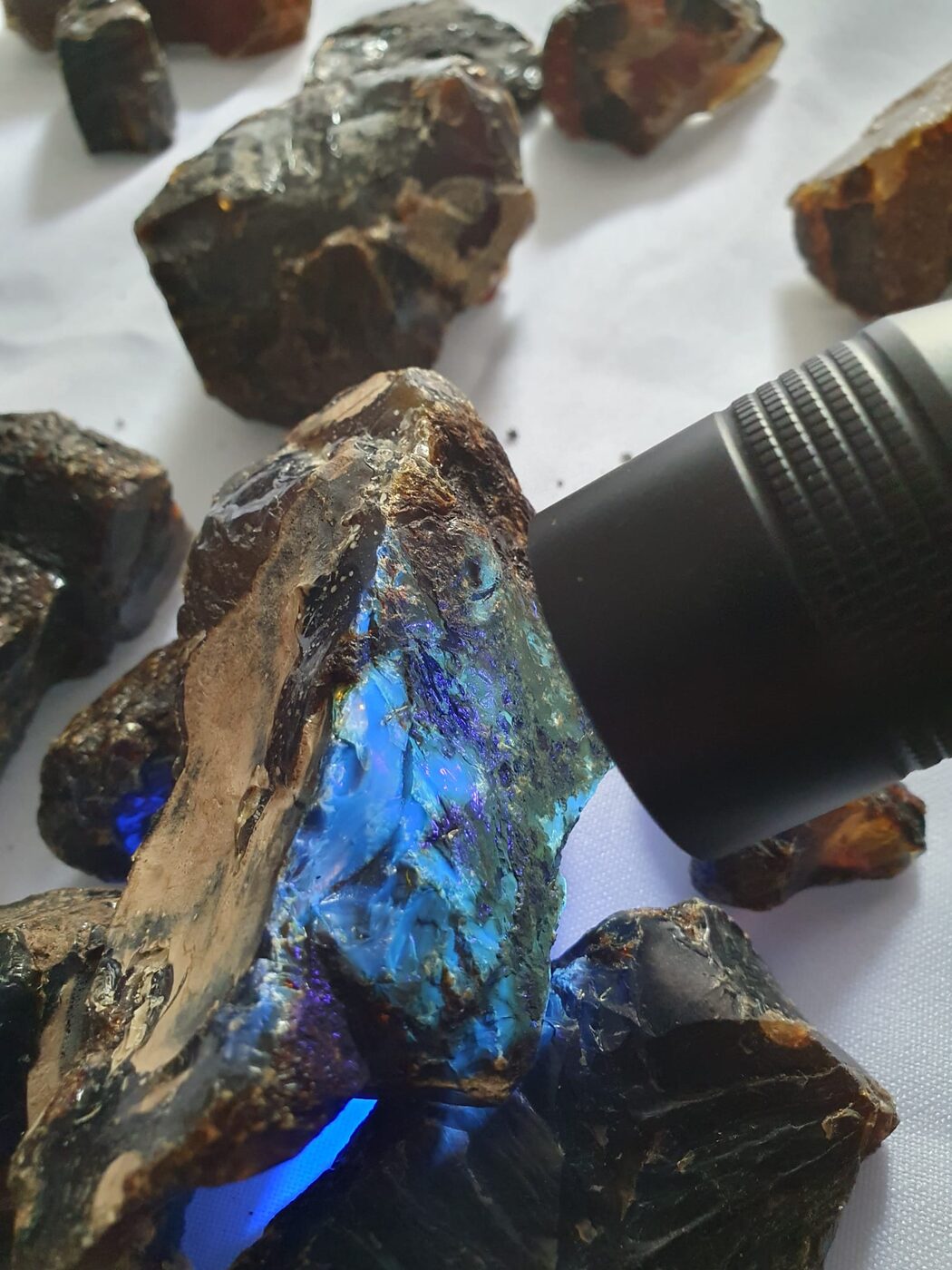 Blauer Bernstein unter UV-Licht